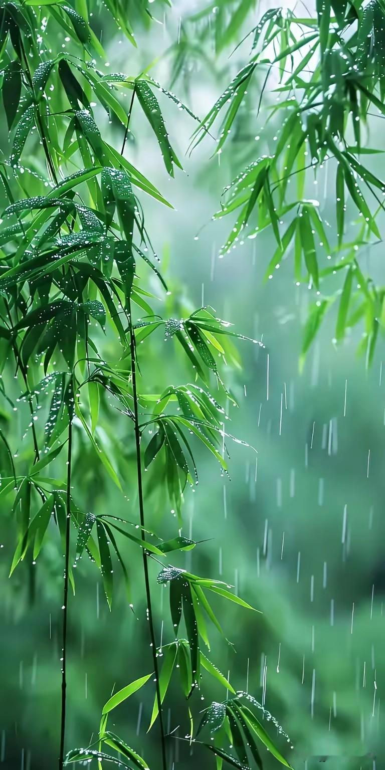 《雨中寄怀》

文/范圣嘉
 
连日阴雨未放晴，
街途积水阻人行。
滂沱淅沥落不