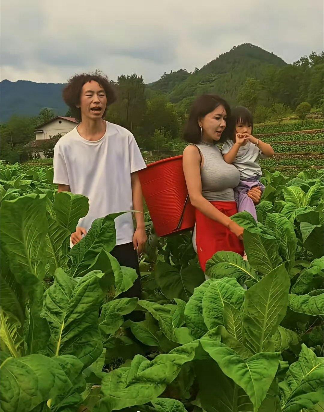 龚玥菲背着桶，抱着女儿，干爸庞麦郎唱着《我的父亲是瓦匠》，一家三口站烟地里，其乐