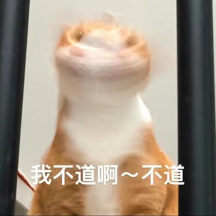 朋友：端午三天去干嘛我：长在床上变成蘑菇3天朋友：…………………………朋友：去海
