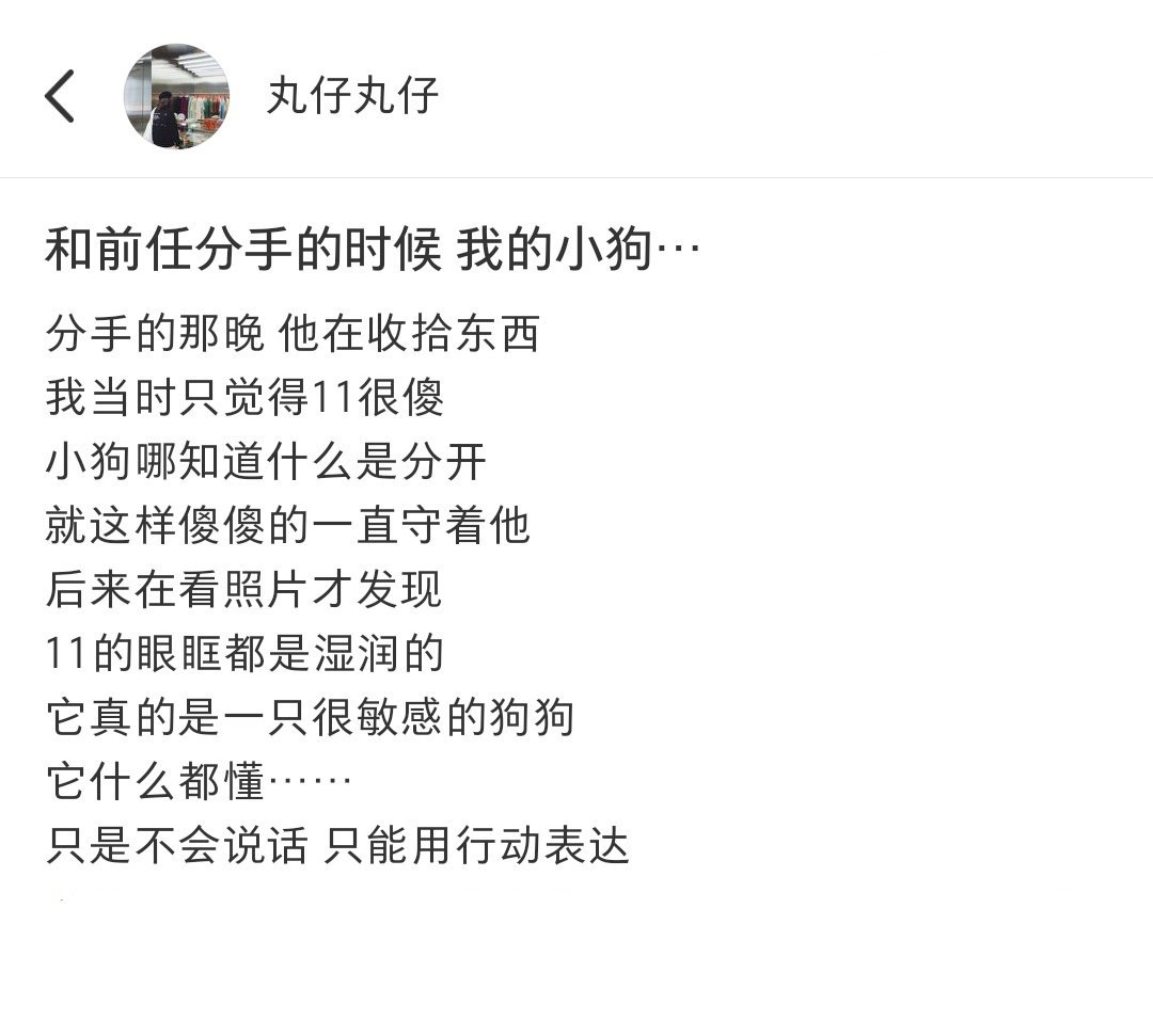 和前任分手时小狗偷偷流泪了[苦涩] ​​​