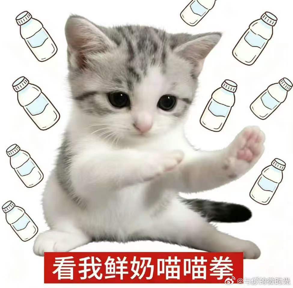 世界杯32强预测是鲜奶不是毒奶 我的32强预测赌上所有好运！要是中了就去买庆祝周