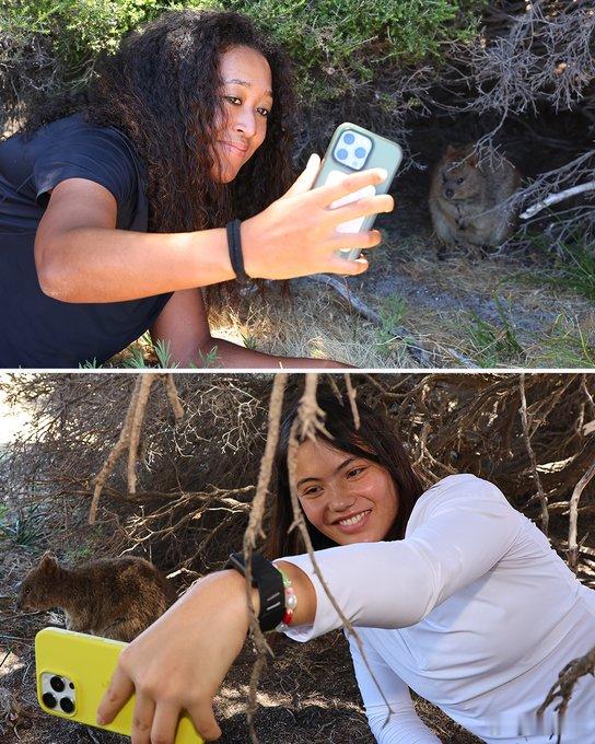 拉杜卡奴和大坂直美在澳洲，慕名去找树袋熊合影。这是当地独有的小动物。澳网2026