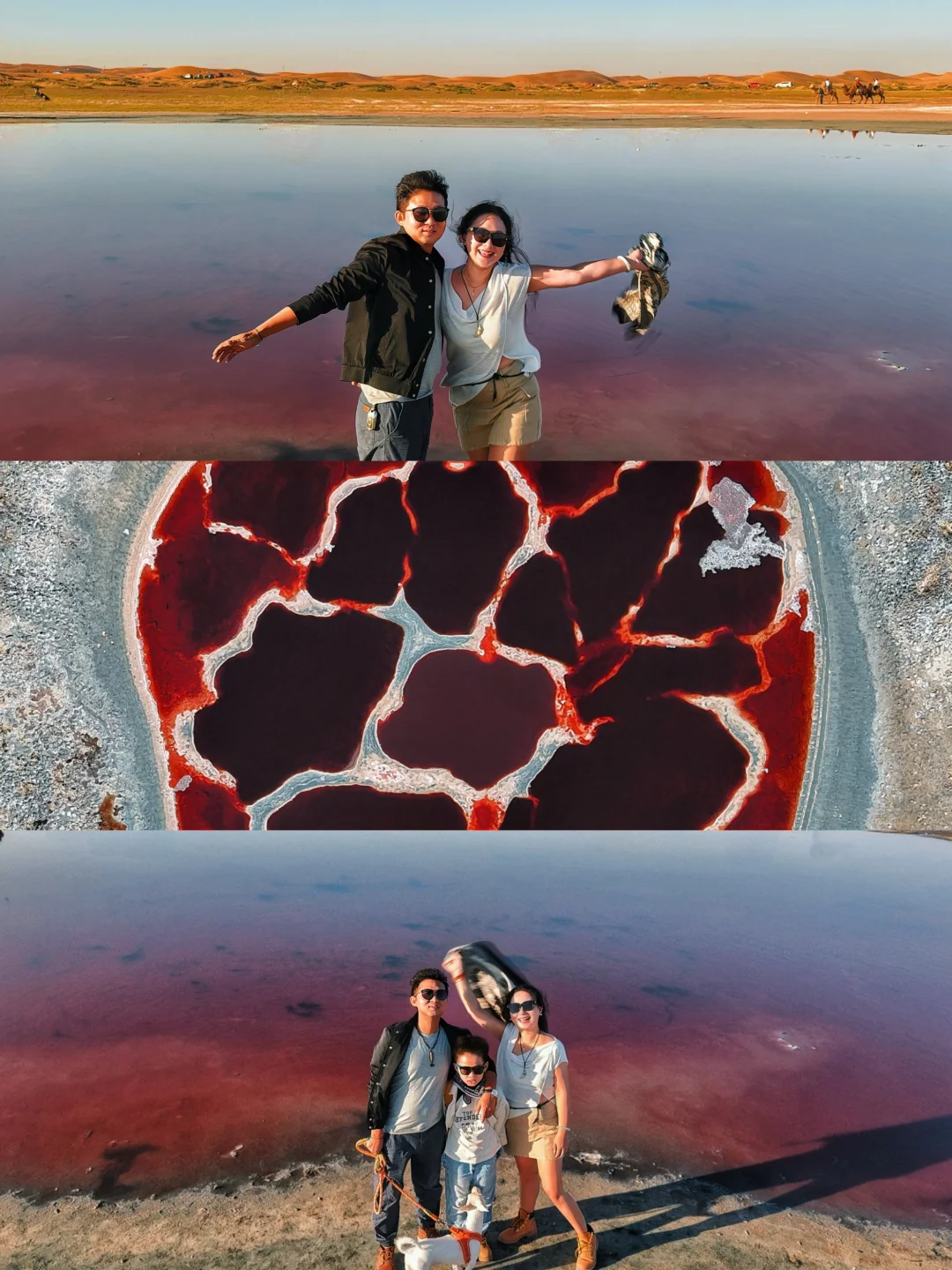 腾格里沙漠🏜️五湖穿越 ☑️ 10.2实拍！带小狗