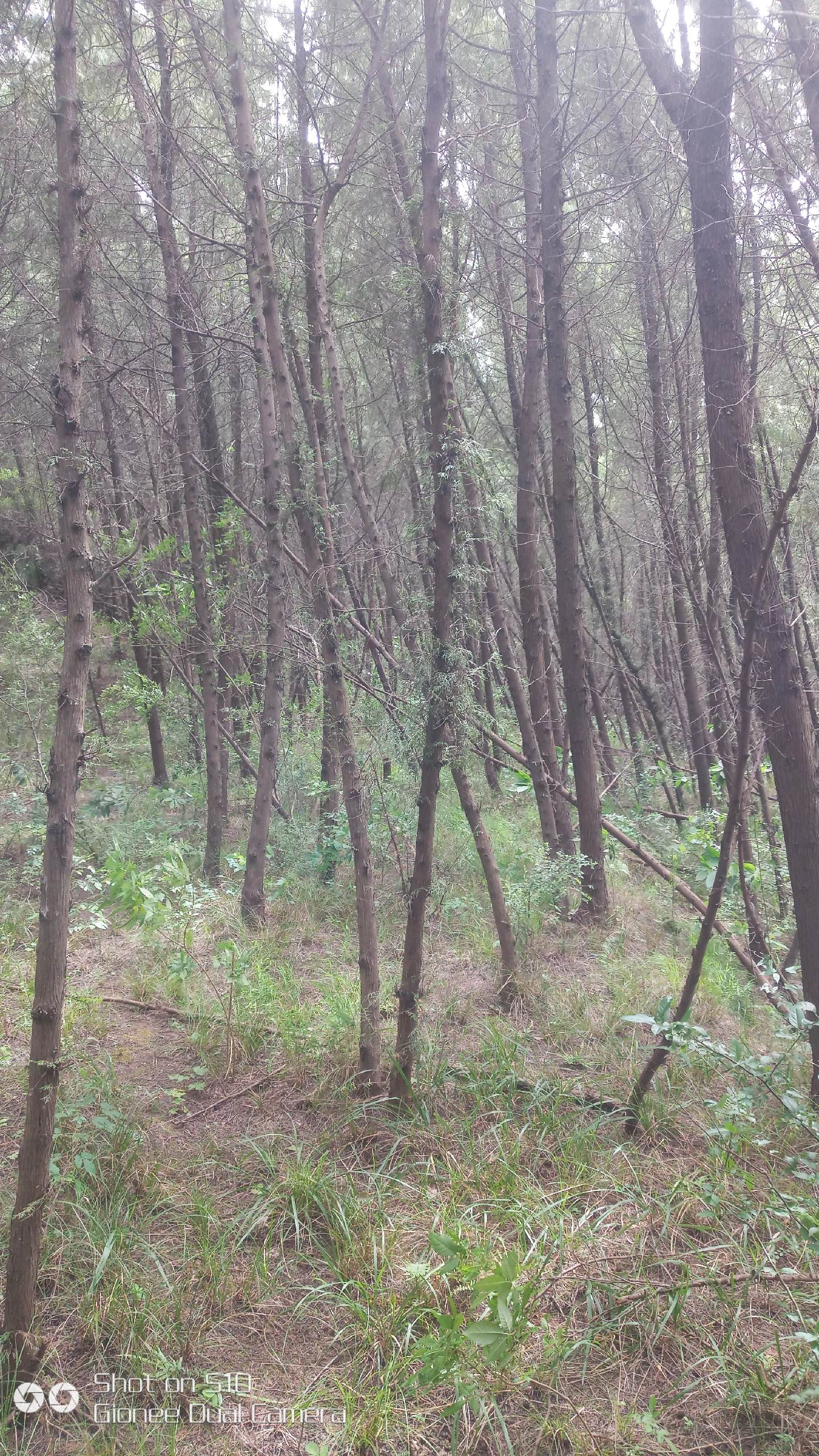 失去了她。凉爽的秋风扑面而来，将多日的燥热一扫而空。田间地头成熟的玉米...