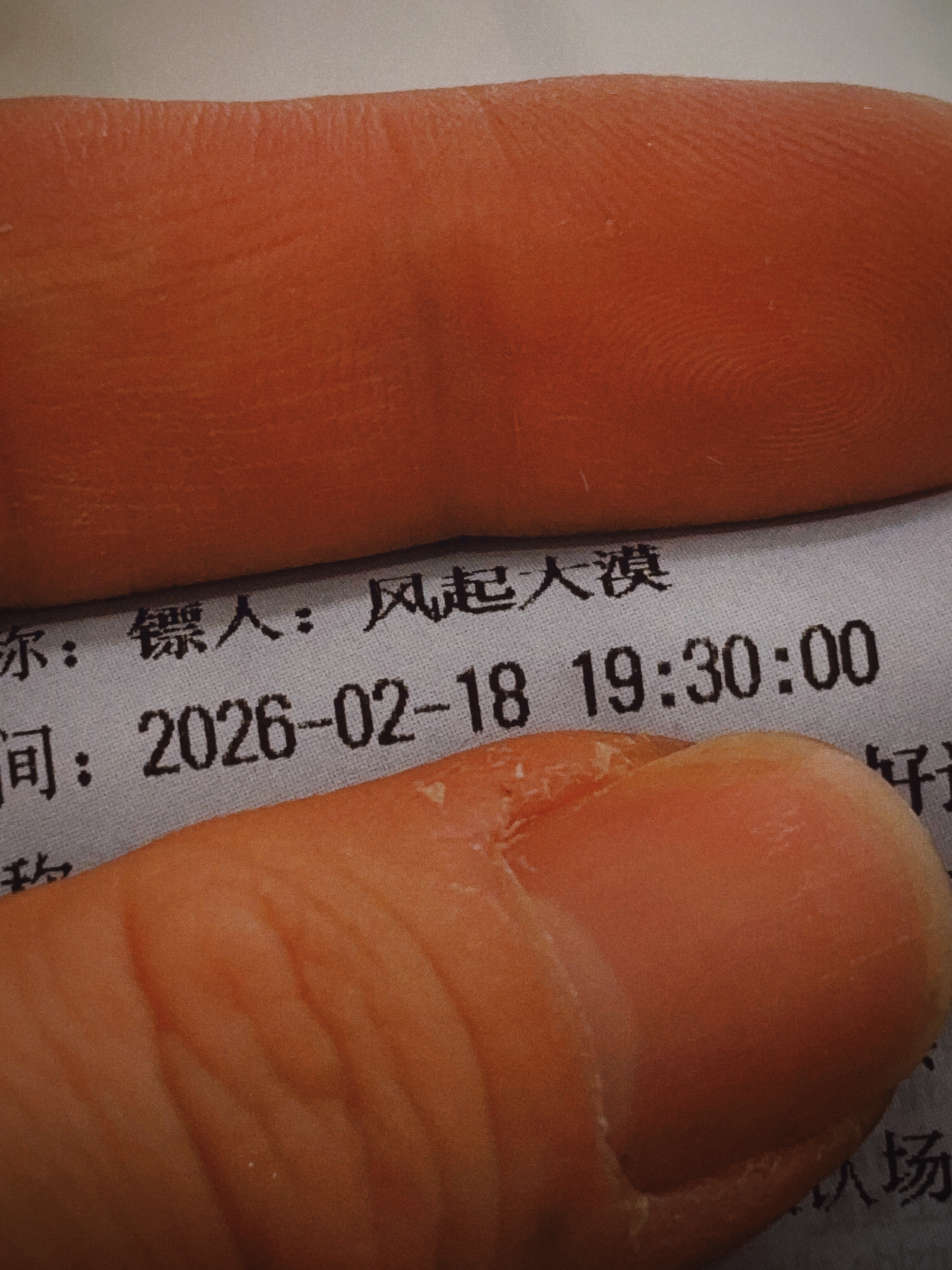 电影镖人 好久没看这么喜欢的电影了。武侠作为华语电影独有的题材本就可贵，袁和平把