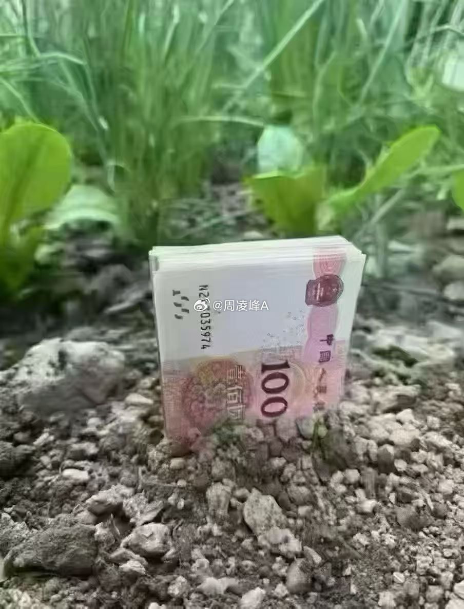 3.12   植树节 愿种下的所有美好都生根发芽🌱