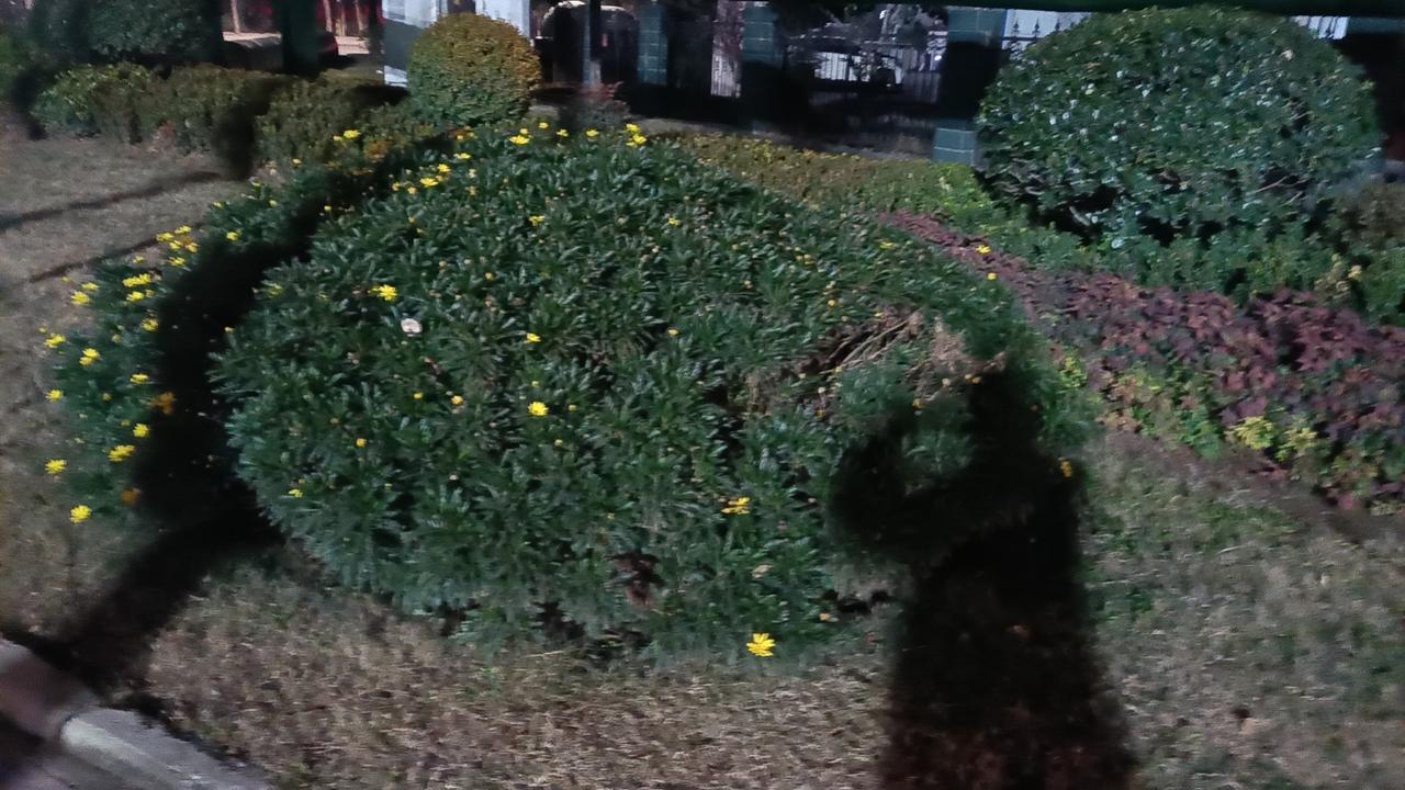 在这个寒冷的季节里，许多人或许会抱怨天气的阴沉，抱怨生活的琐碎，但真正让人感动的