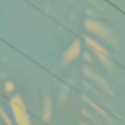 涵养阳光信用，点亮人生底色诚信，是中华民族传承千年的美德，是立身之本、成事之基，