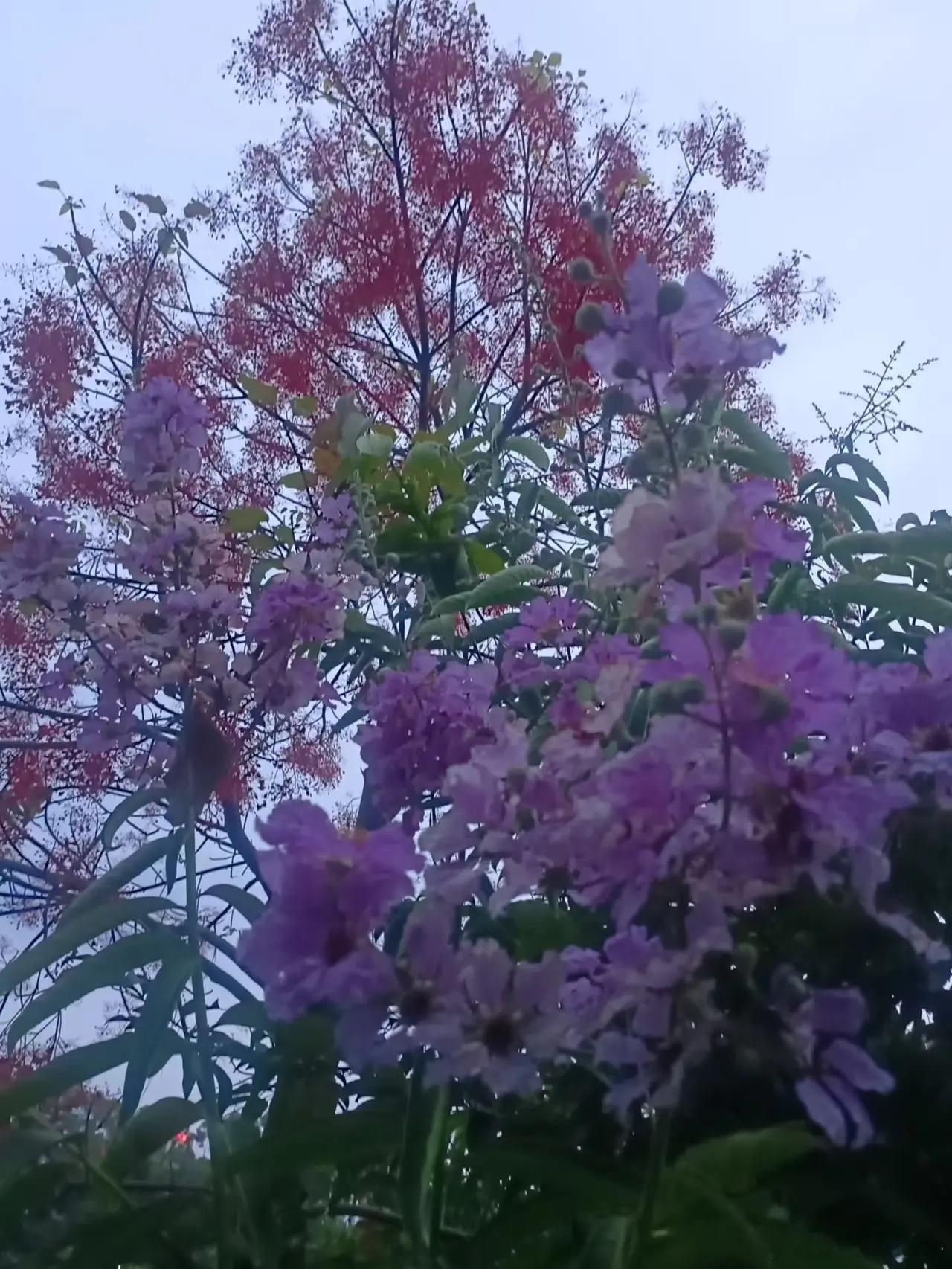 周三市场值得关注板块：1，农业畜牧业2，工业金属3，金刚石散热4，创新药及CRO