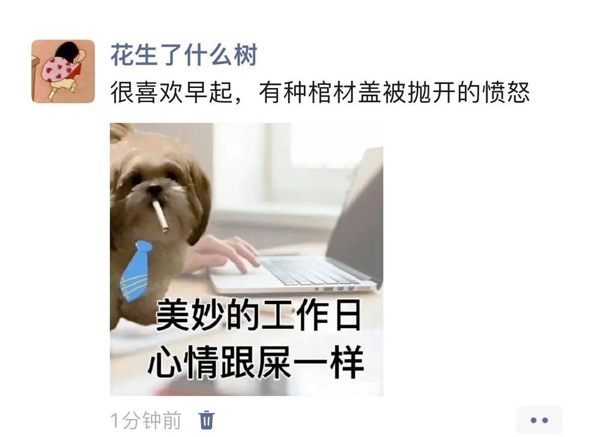 生活试图将我绊倒却发现我早已躺下[淡淡的] ​​​