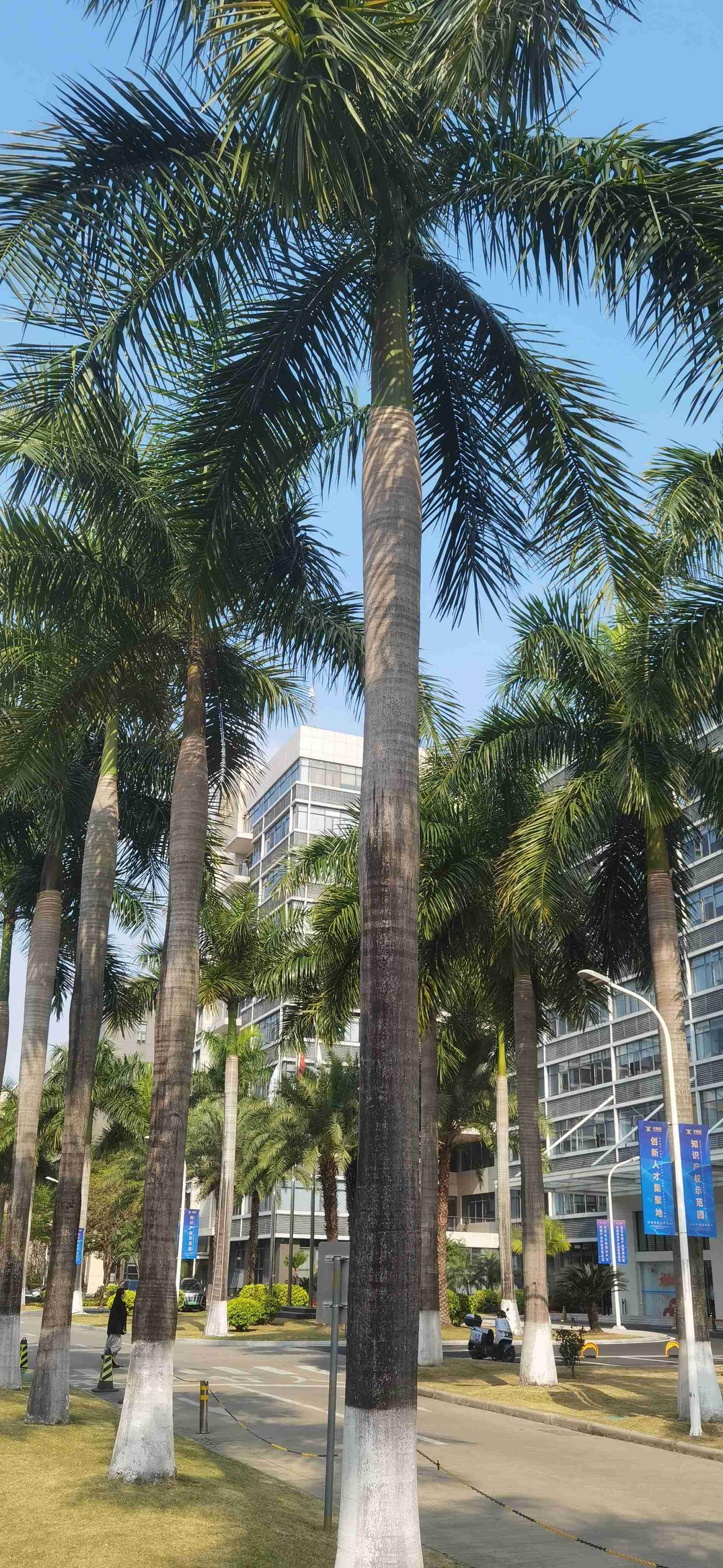 带定位晒今日生活 又快到周末，历经几个小时的颠簸，终于回到了家。家乡湖北今天阳光