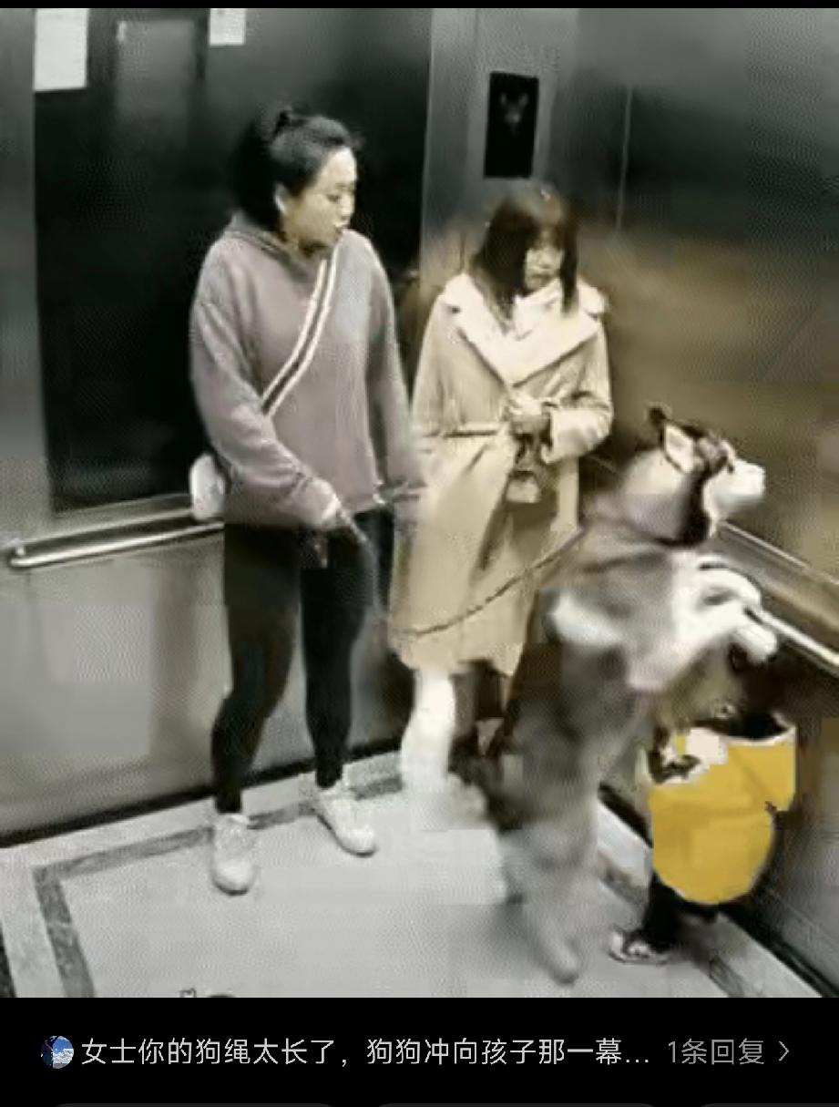 强烈呼吁全国城市住宅小区物管:
既然禁止不了业户养狗，但是，大可以退而求其次。即