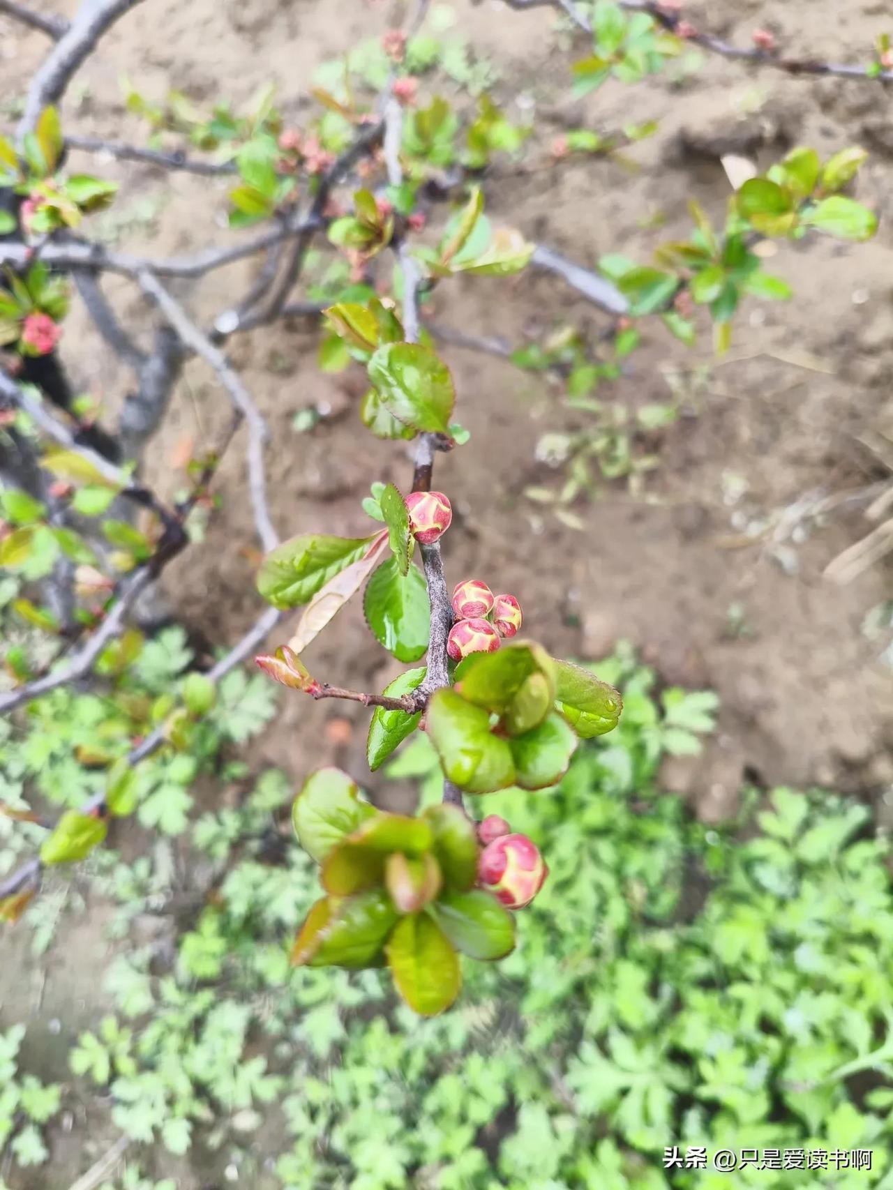 一个表哥大学毕业后一直找不到工作，他妈妈想让他去算命，说是隔壁村子有个老婆婆算得