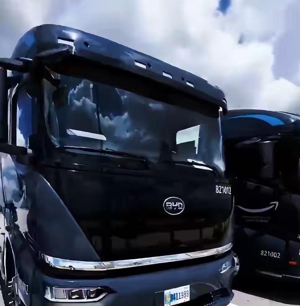 鹰酱：阿欧，我警告你，绝对不许进龙哥家的电动车！
阿欧：咋了啊？他家车皮实耐用还