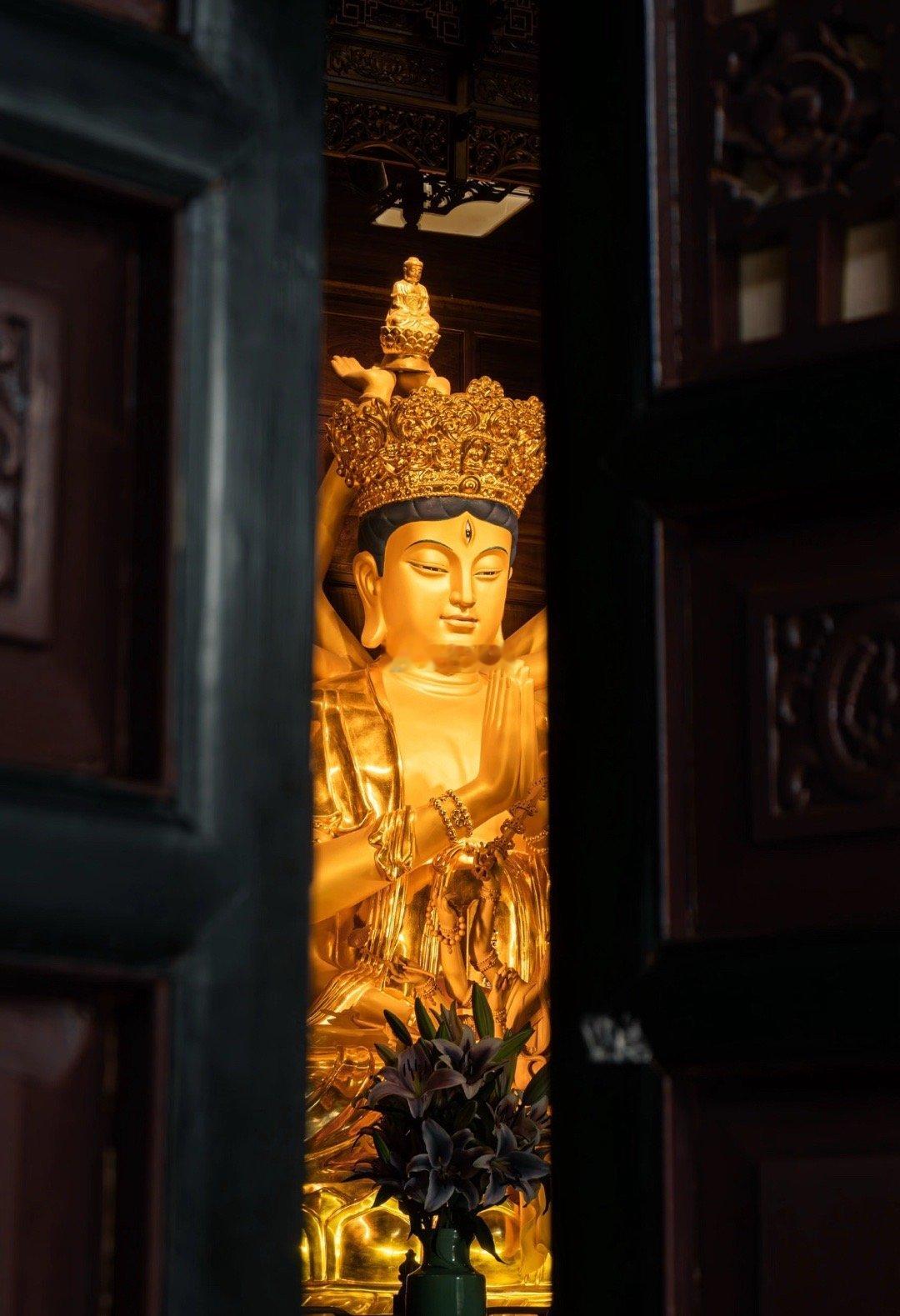 莲叶伴慈容，好运滚滚开！见者有份，接住这份清雅吉祥！ ​​​