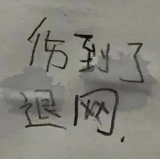 鸡蛋爱逛体育