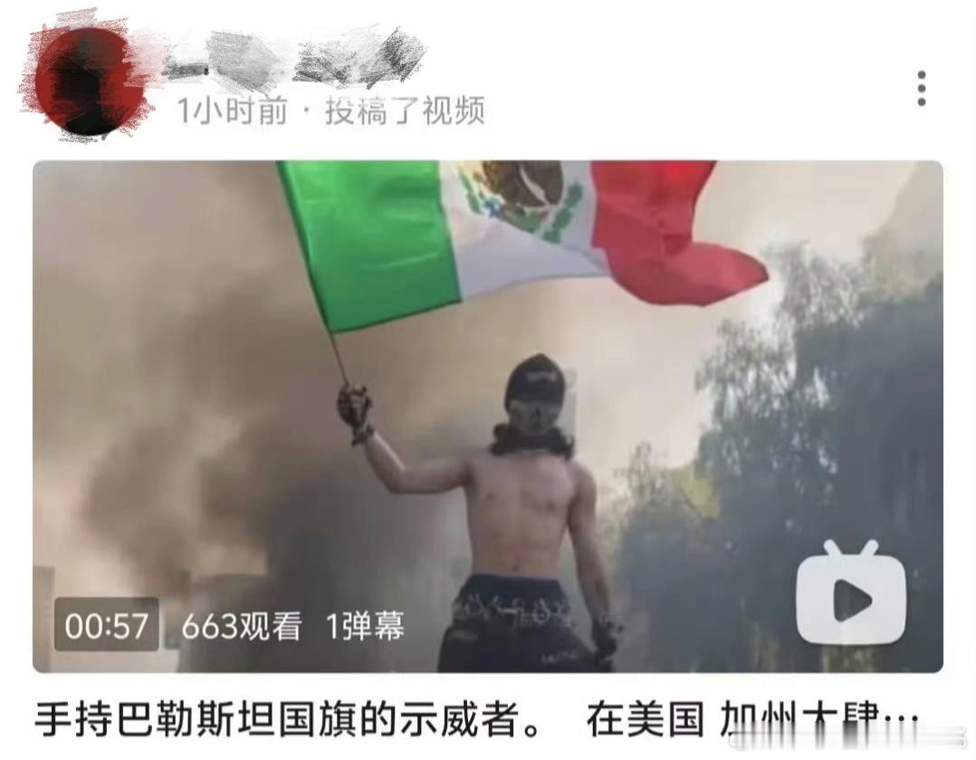 某UP主就连巴勒斯坦与墨西哥国旗都傻傻分不清，却还要硬着头皮点评时事，属实挺尴尬