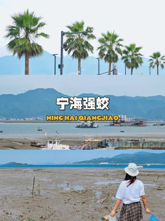 在宁海强蛟赶海，是种什么体验？