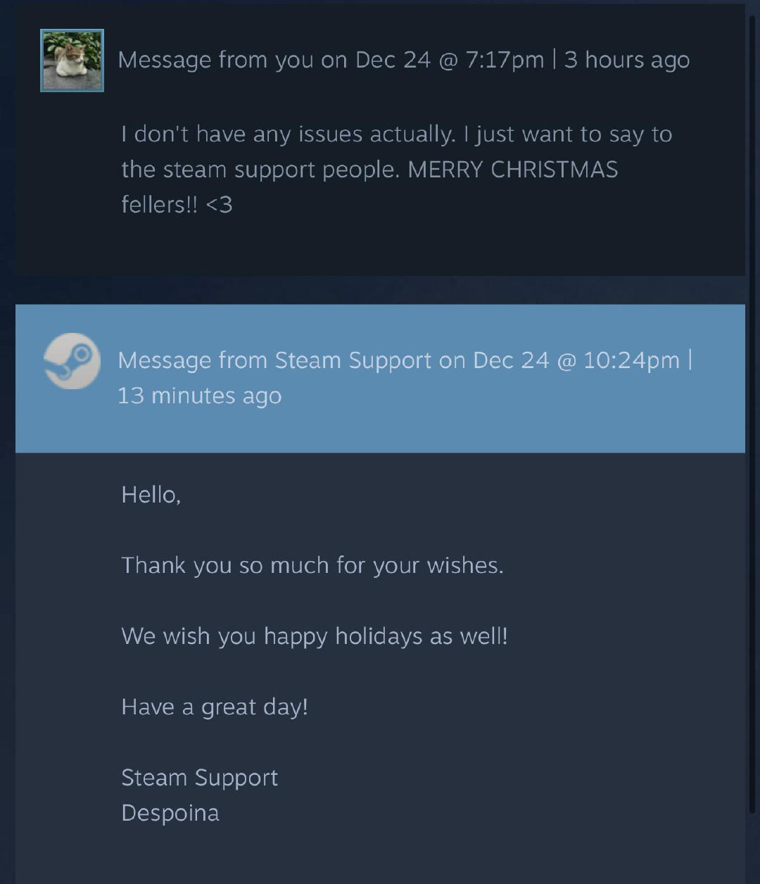 一名玩家向Steam客服送出了圣诞祝福，并收到了回信：“我其实没有什么问题。我只