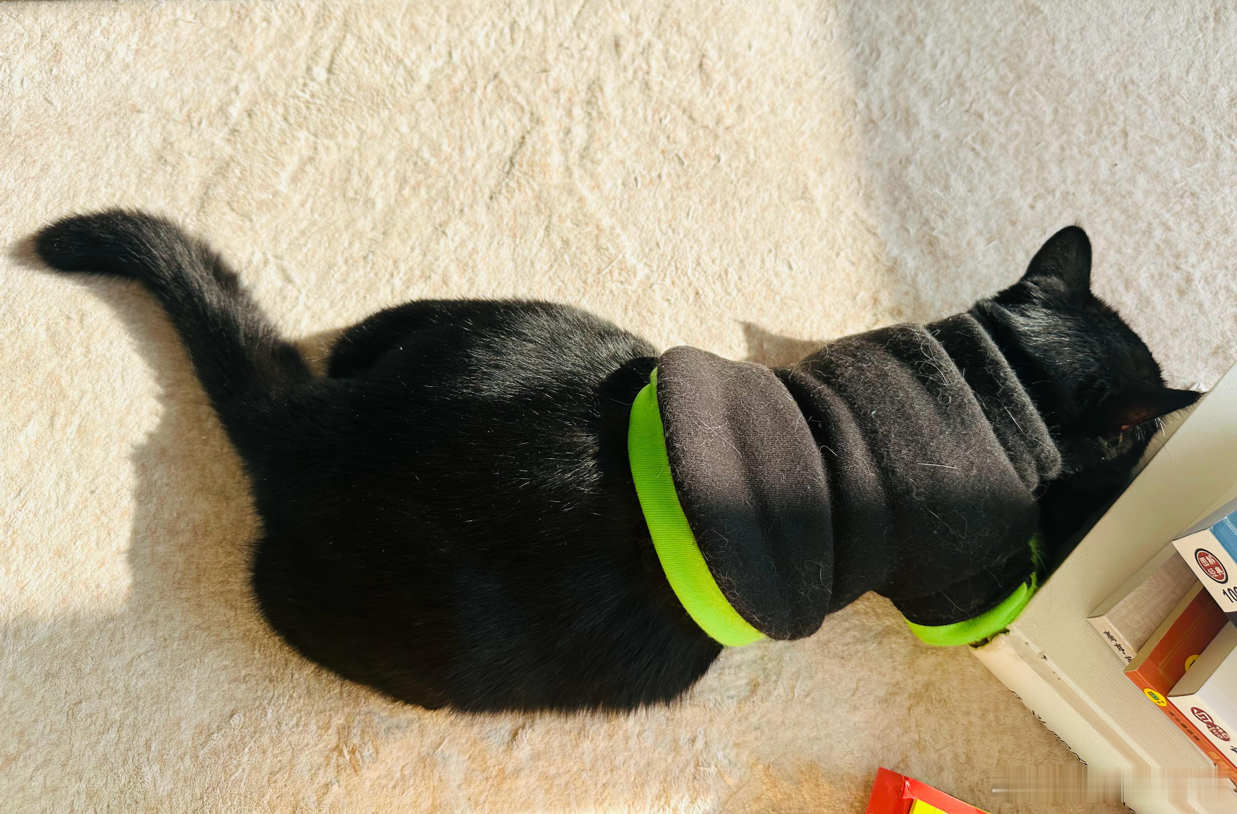 凡想要体面的，终究会以不体面收场。 