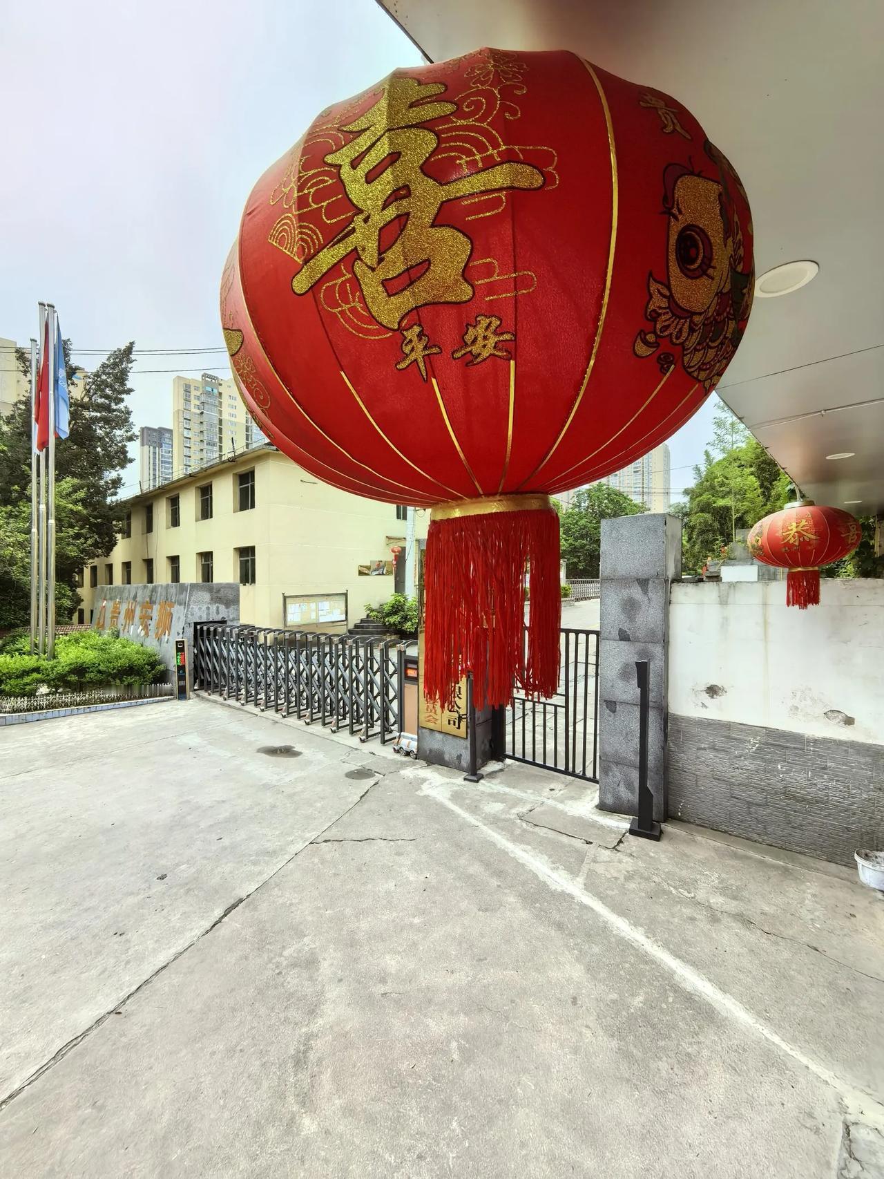 分享一张你最近随拍的照片