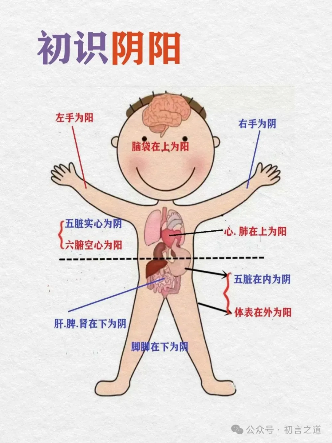 0基础学古中医01天｜初识阴阳