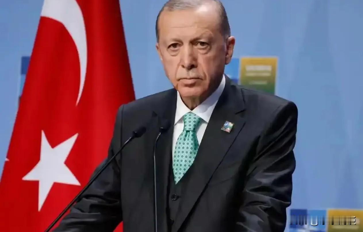 快讯，土耳其宣布了！
 
2026年1月19日，我从央视财经拿到一手消息，土耳其