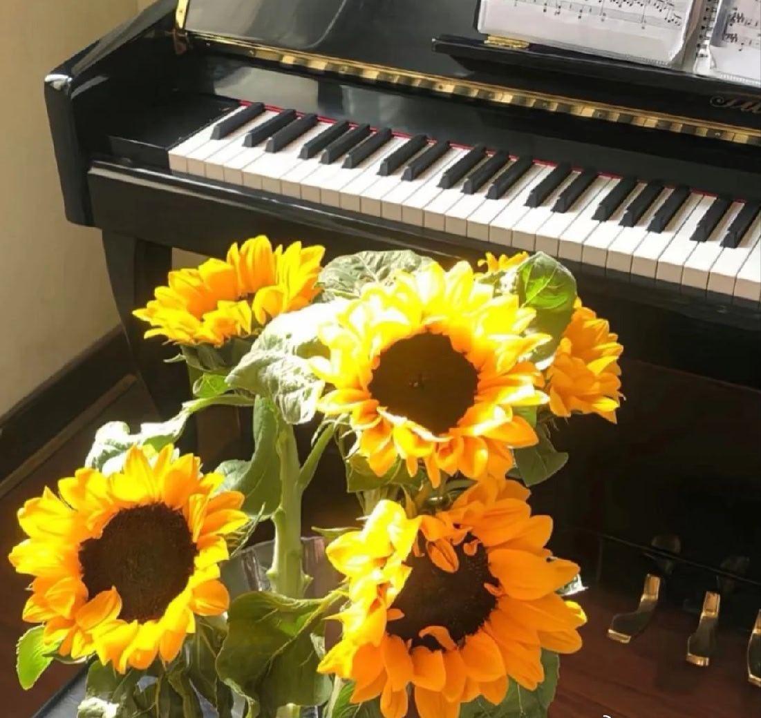 人间风雨皆磨砺，岁月山河作衣裳。不争长短，只守清欢；放下执念，方得自在。慢品烟火