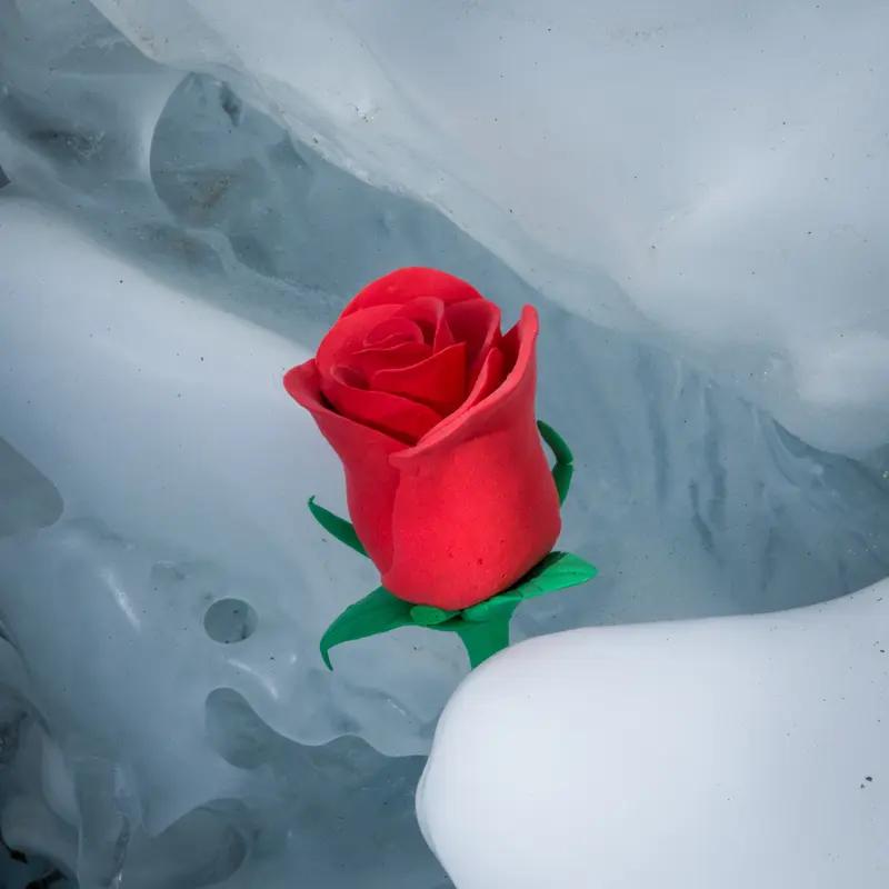 哈尔滨冰雪大世界又整新活啦！2026年冰雪季推出的超大玫瑰冰瀑简直美炸。5米高的