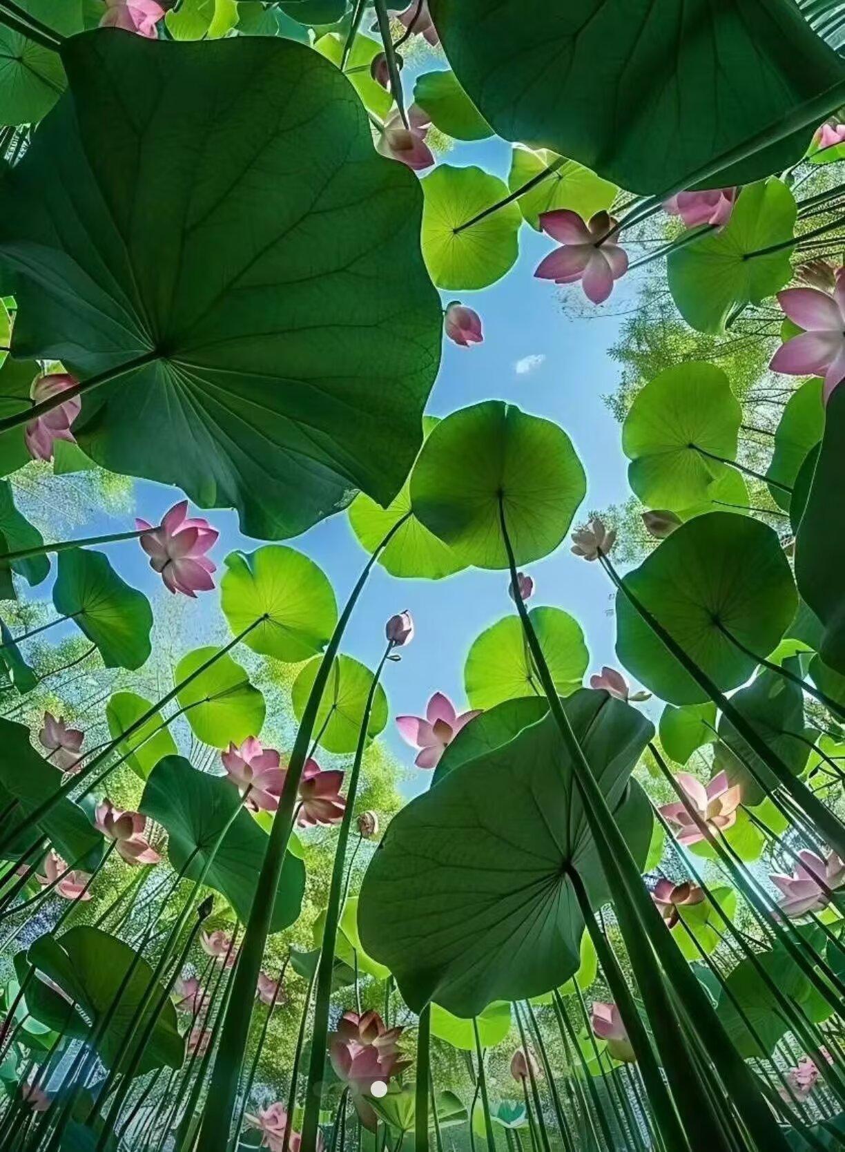 给自己一句话，你会说什么?人永远赚不到超出自己认知范围的每一分钱，哪怕起点相似，