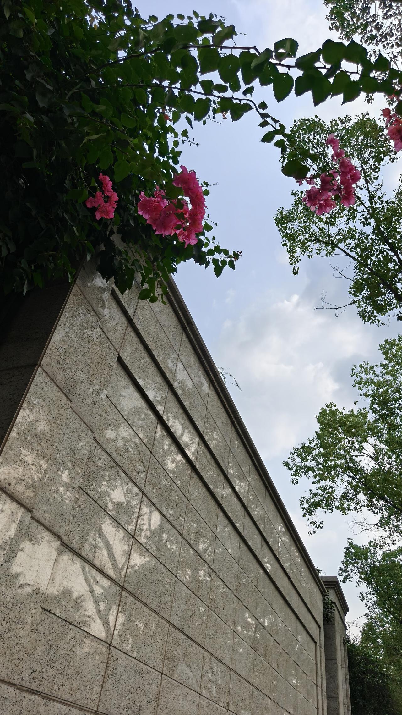 儿子刚给我发来消息，说接下来要连轴培训三天，全程实行封闭管理，吃住都安排在培训中
