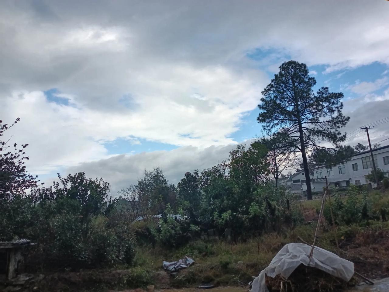 雨过天晴
刚刚，2024年10月18日上午九时许，老天下了场及时雨，旱情暂时解决