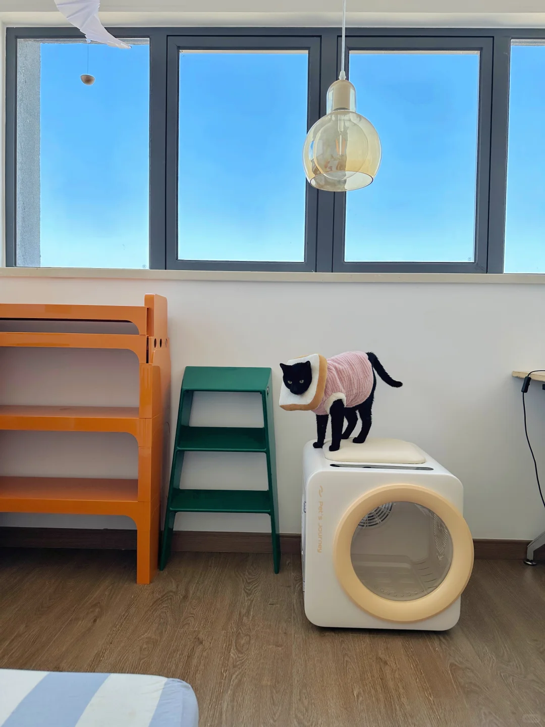 富二代小猫🐱的新年仪式感(⁎⁍̴̛ᴗ⁍̴̛⁎)🎀