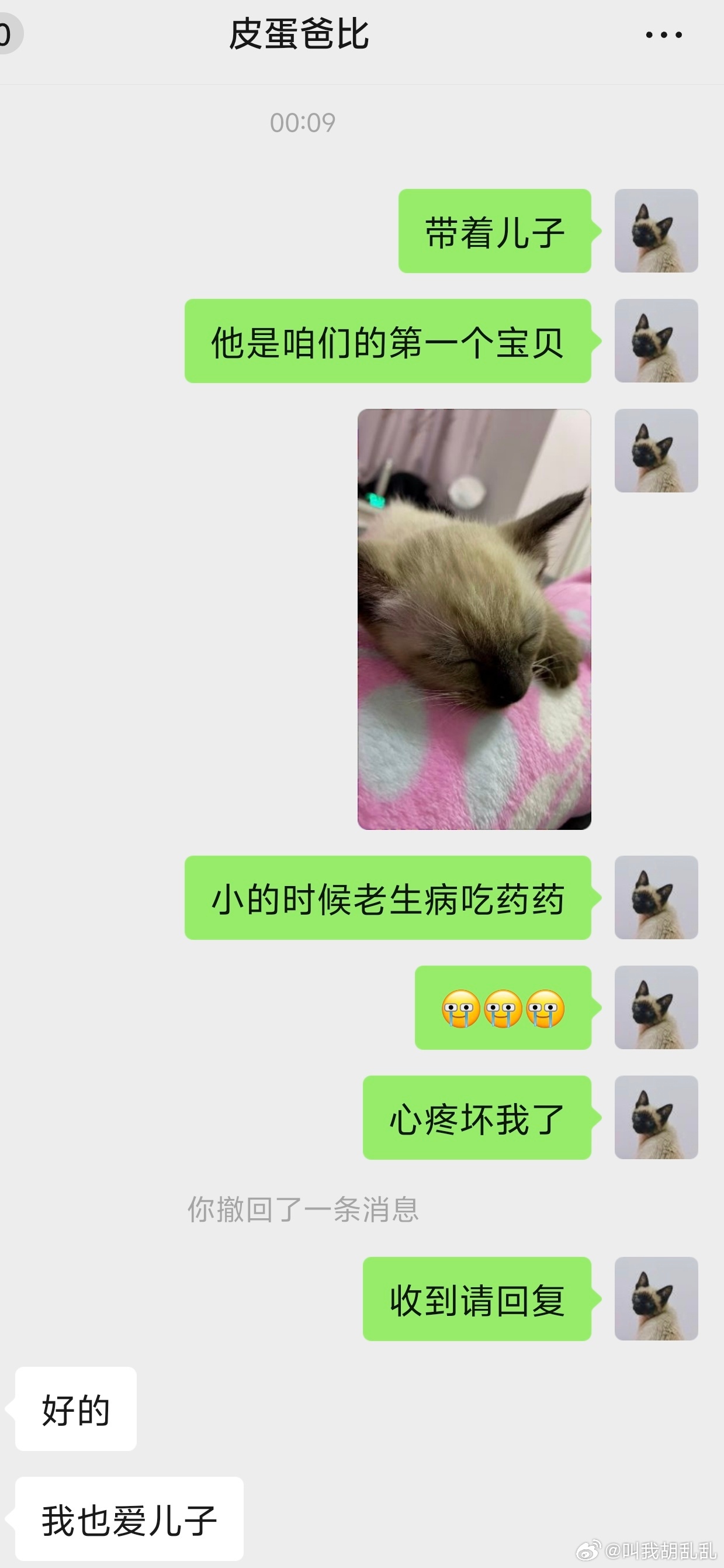 毛孩子也是孩子，爱不是觉得亏本，而是总觉亏欠