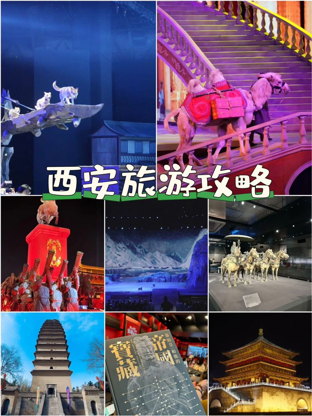 西安旅游攻略，这也太全了吧 [哇R]熬夜整理的超全西安旅游攻略哦，分享...