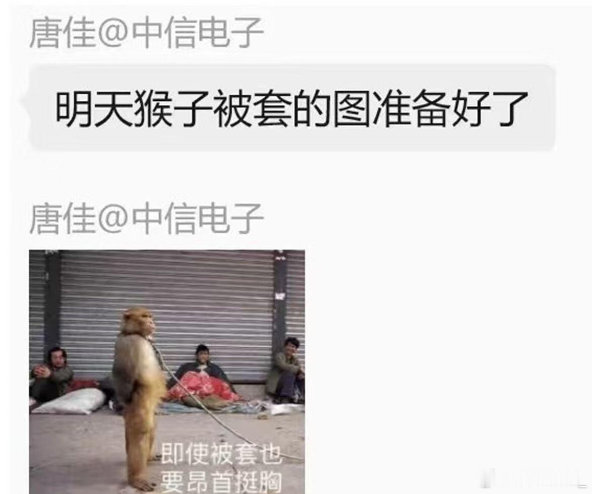 大家沿着猴子产业链挖掘到上游核心材料--香蕉。所以今天宏辉果蔬涨停。 