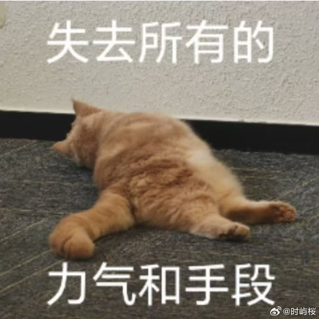00后乡村老师用AI为全校定制期末卷00后青年教师用AI给乡村教育带来新变化。班