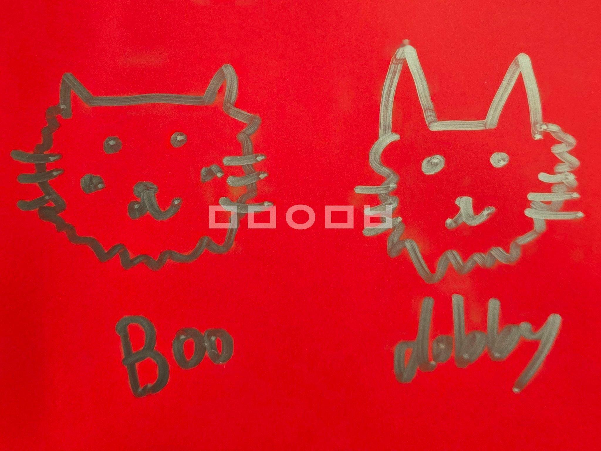 毛毛画的boo和dobby©marvelofmomo 
