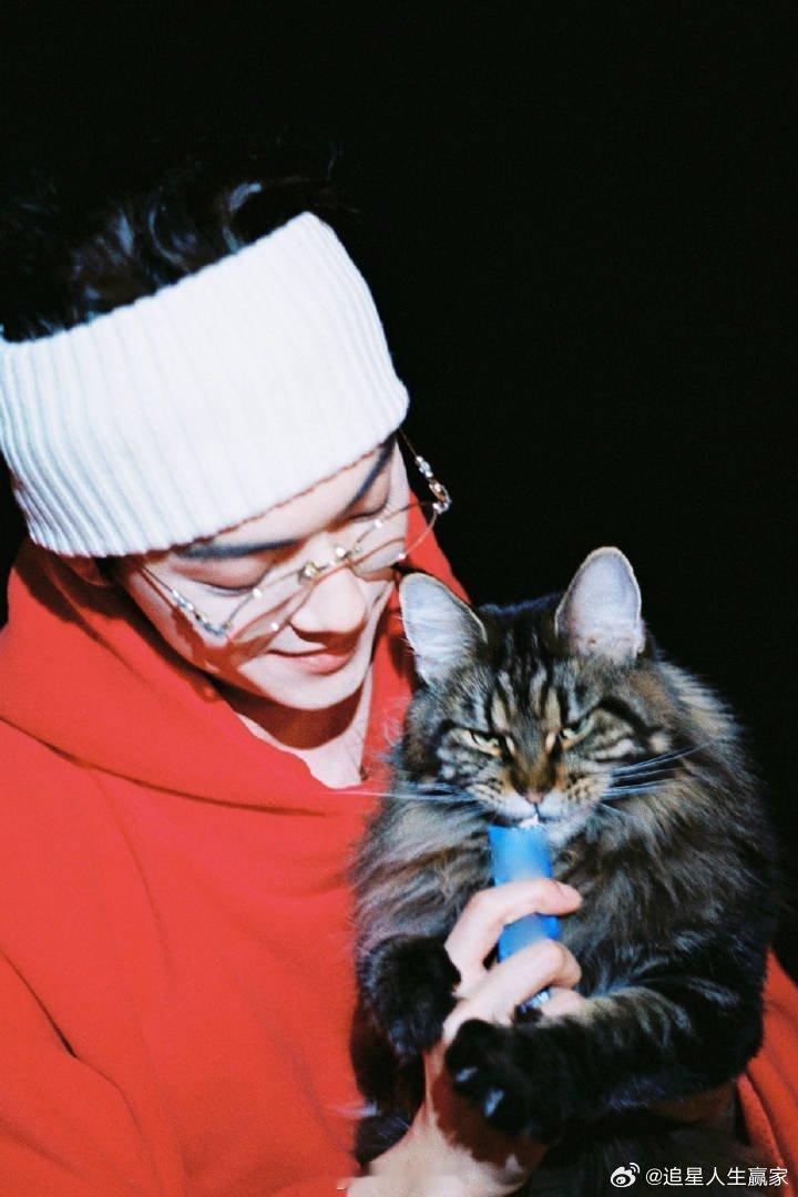 许凯红衣小白帽撸猫营业，帅到你了吗