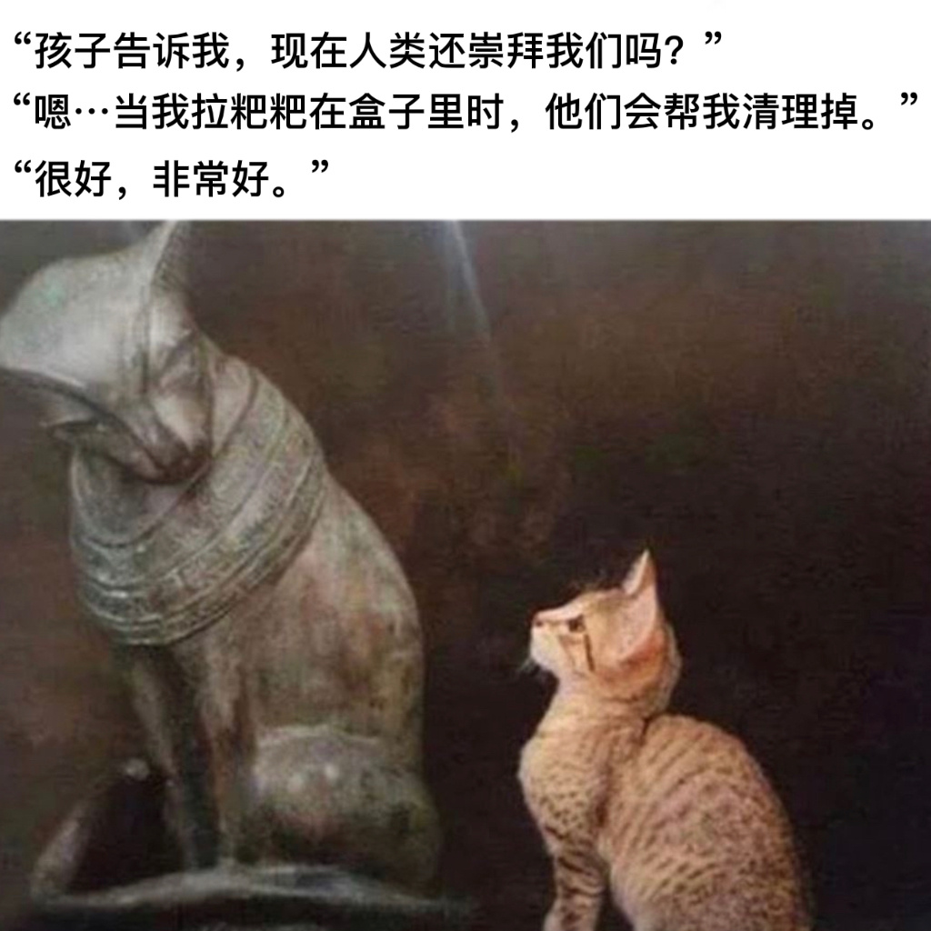 继续保持#今日memes##趣过夏天# ​​​