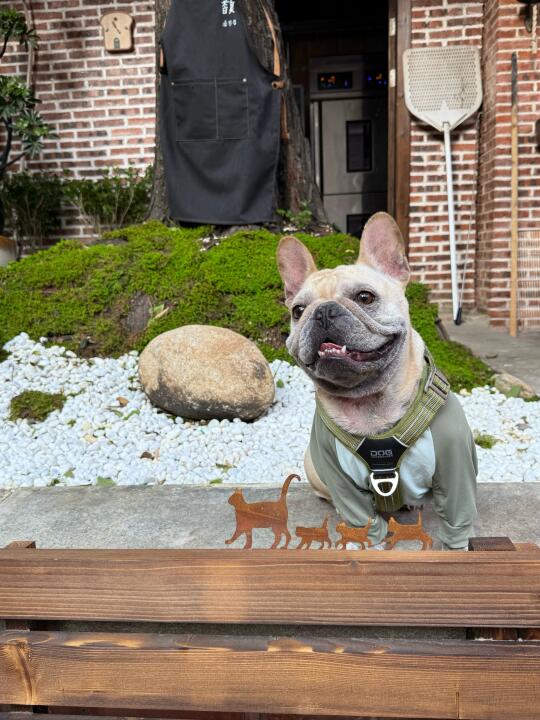 探店plog(无文字版