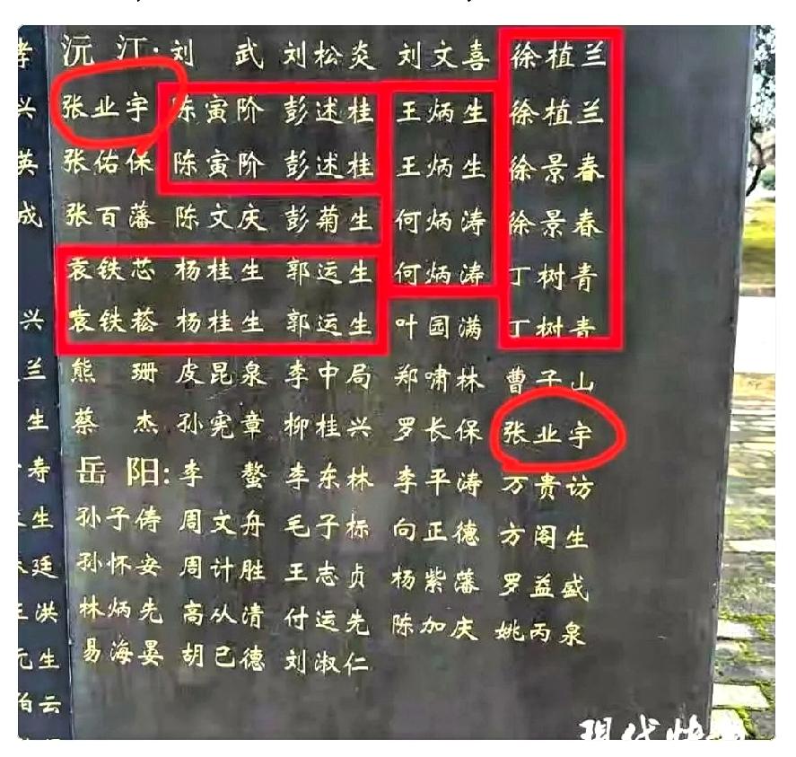 看到这几张图，我手里的茶杯重重磕在桌上。
湖北洪湖湘鄂西苏区革命烈士陵园

出现