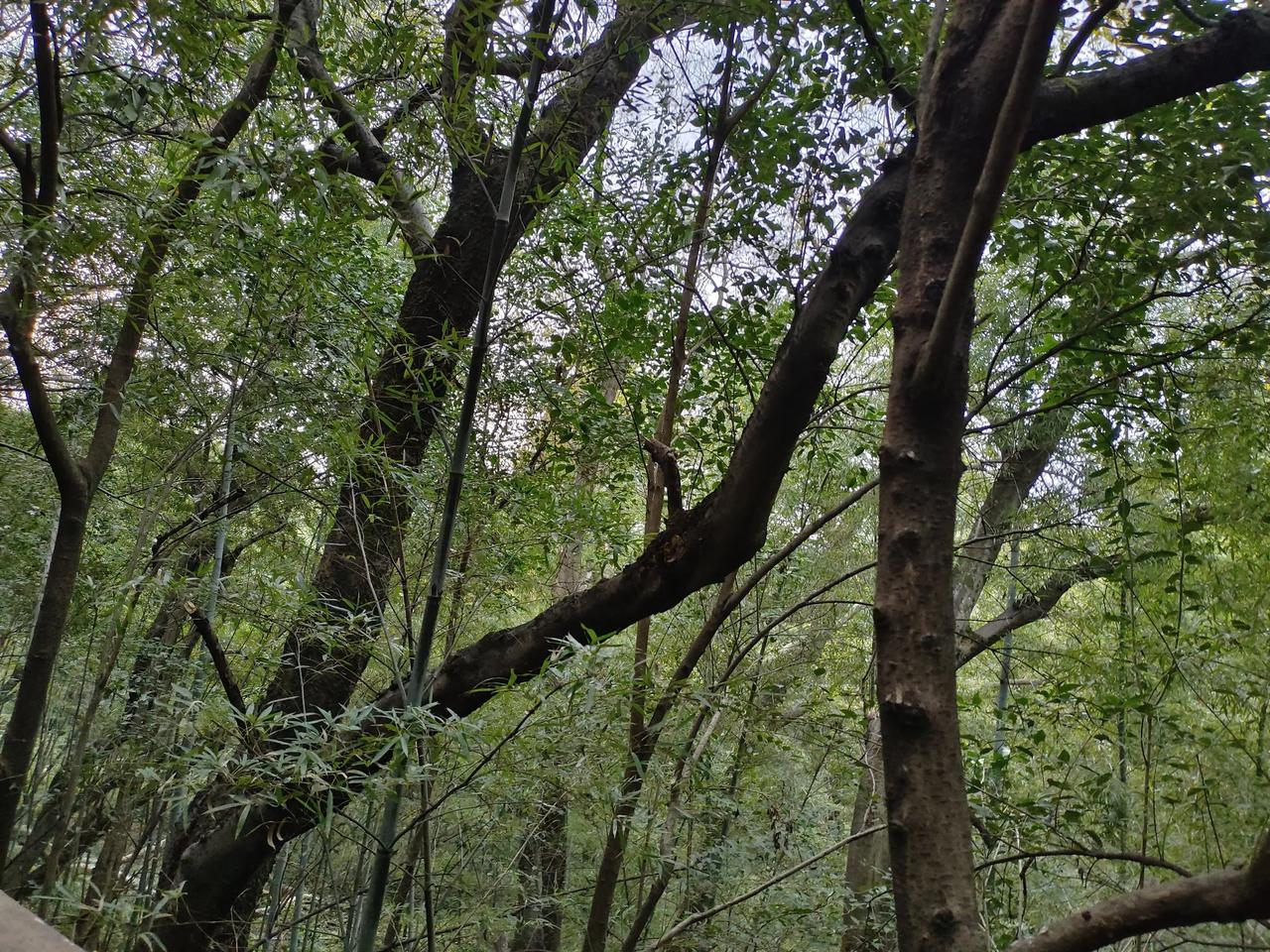 出游体悟:出去玩，自然是满心欢喜！就像放飞的小鸟扑向蓝天白云，自由翱翔的愿景让人