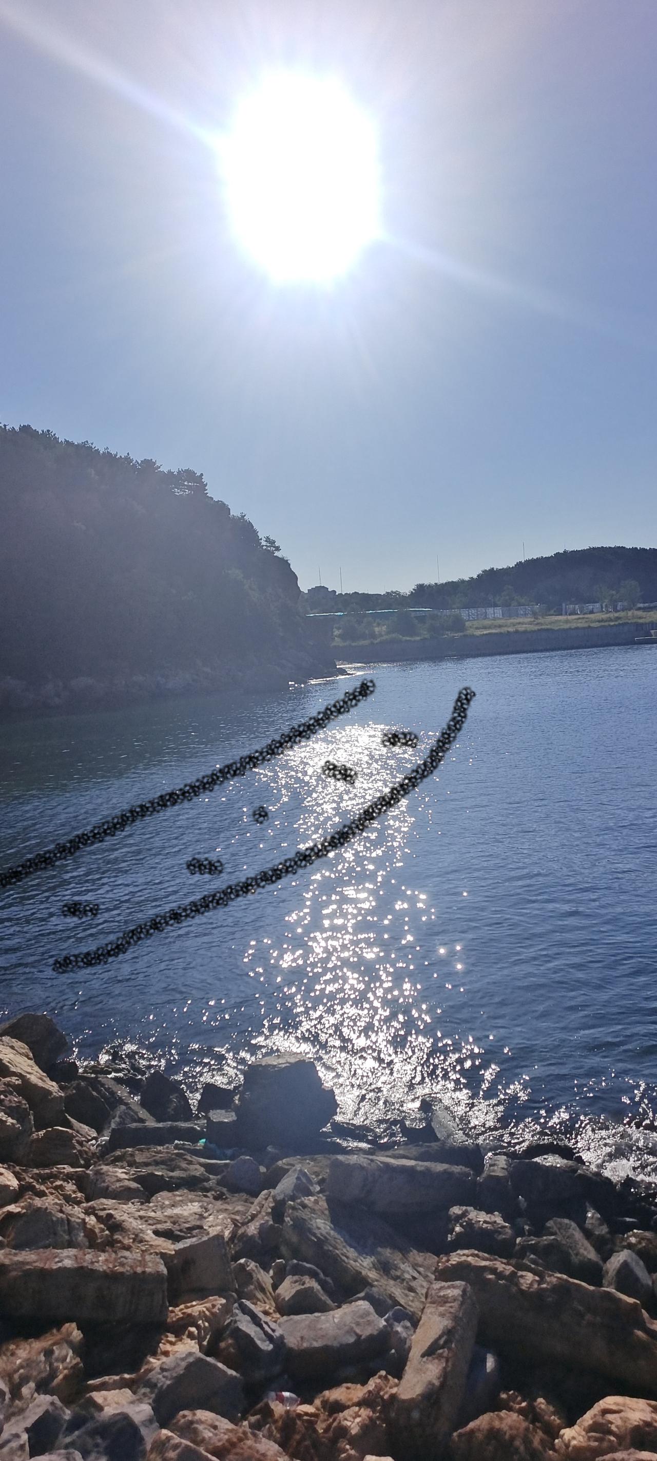 大连滨海路亲海栈道景观工程，西起黑石礁，东至秀月湾，全长9公里，很好很诱人。
另