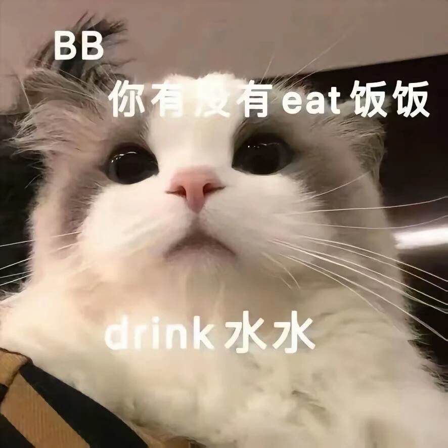 我猫咪大人可记仇了 ​​​