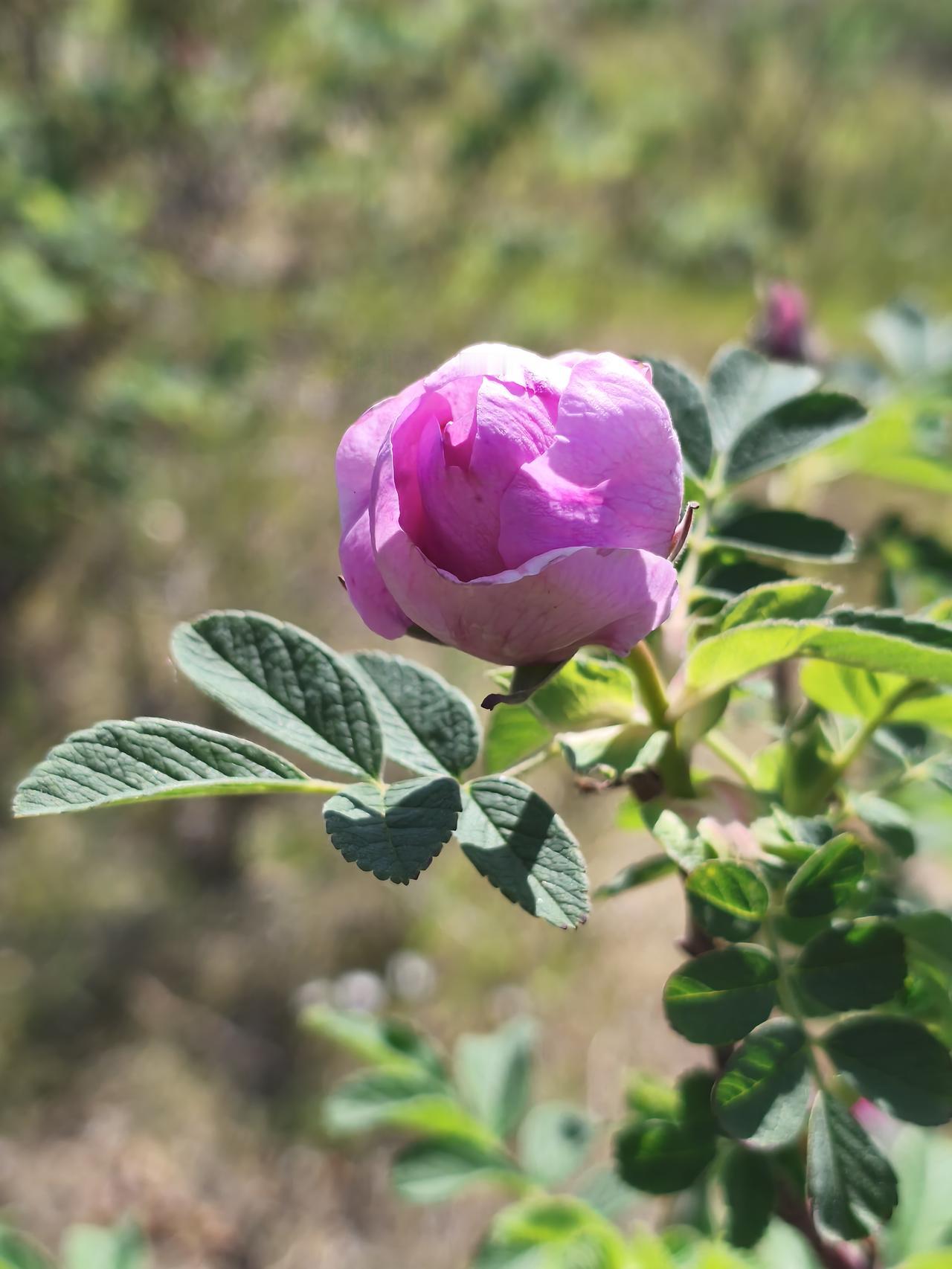 水至清则无鱼！有的人总是喜欢用这句话来宽慰自己的内心。
水至清则无鱼，人至察则无