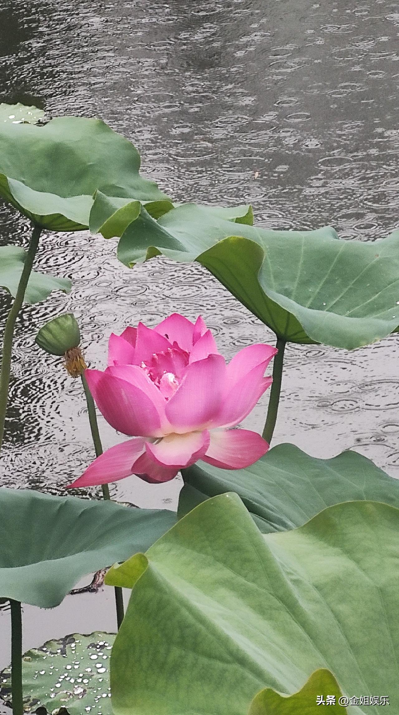 你怎么认为命由己造，相由心生。世间祸福，从来不是上天注定。内心常怀善意，面容便温