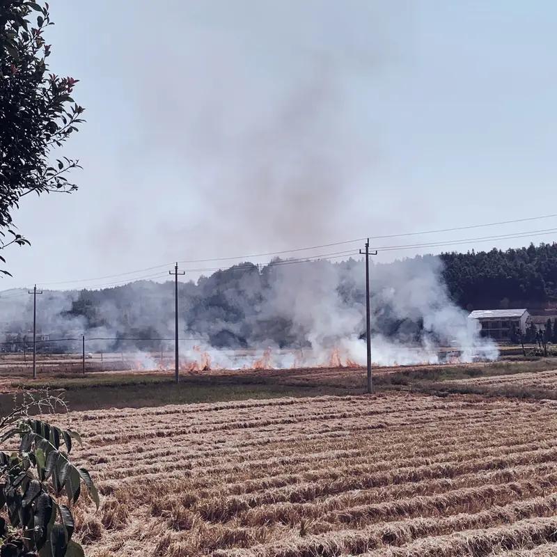 秸秆禁烧是否增加农民成本，不能一概而论。过去农村地广人稀，烧秸秆影响小，但现在人