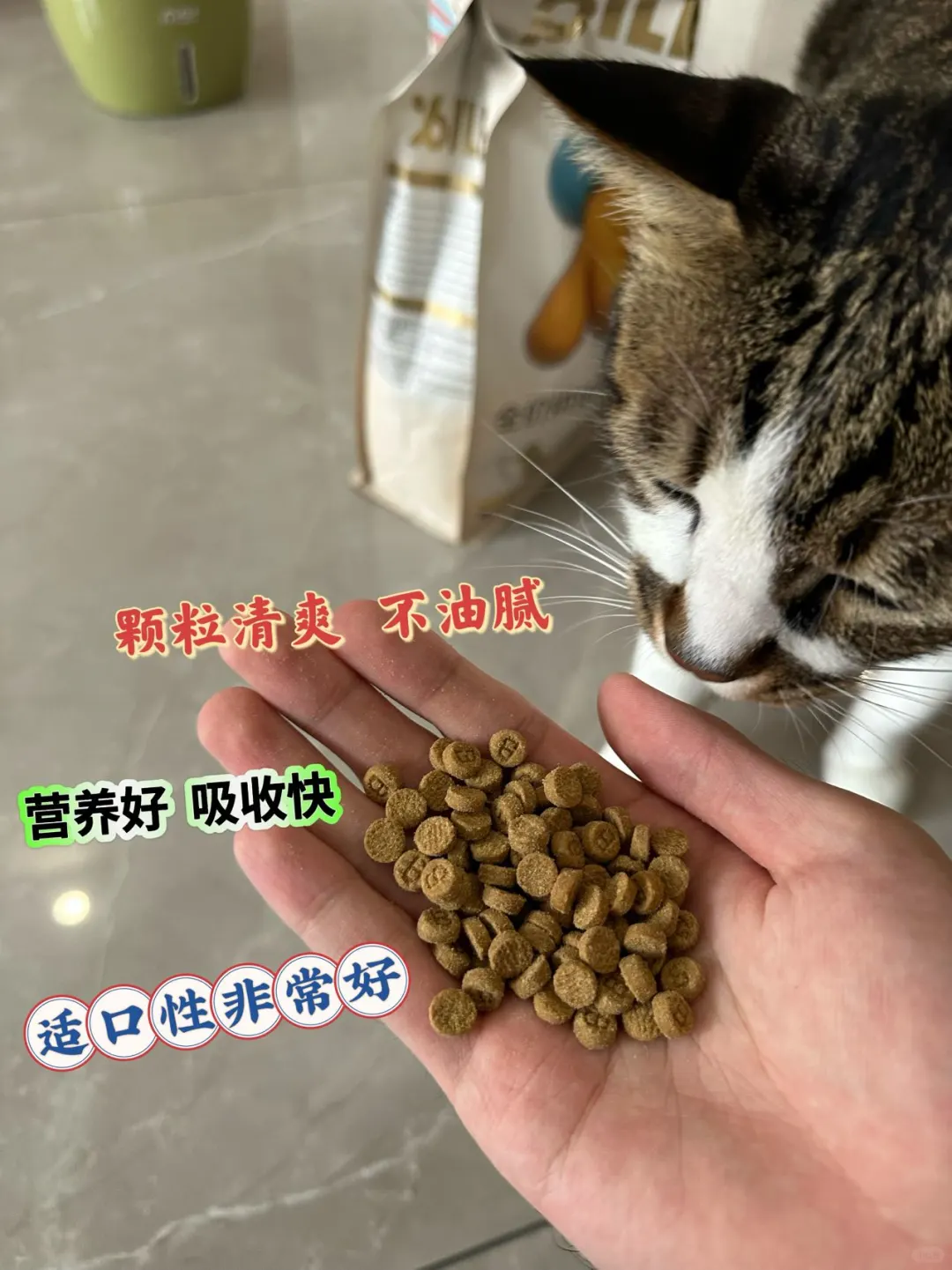 发现一款宝藏烘焙猫粮