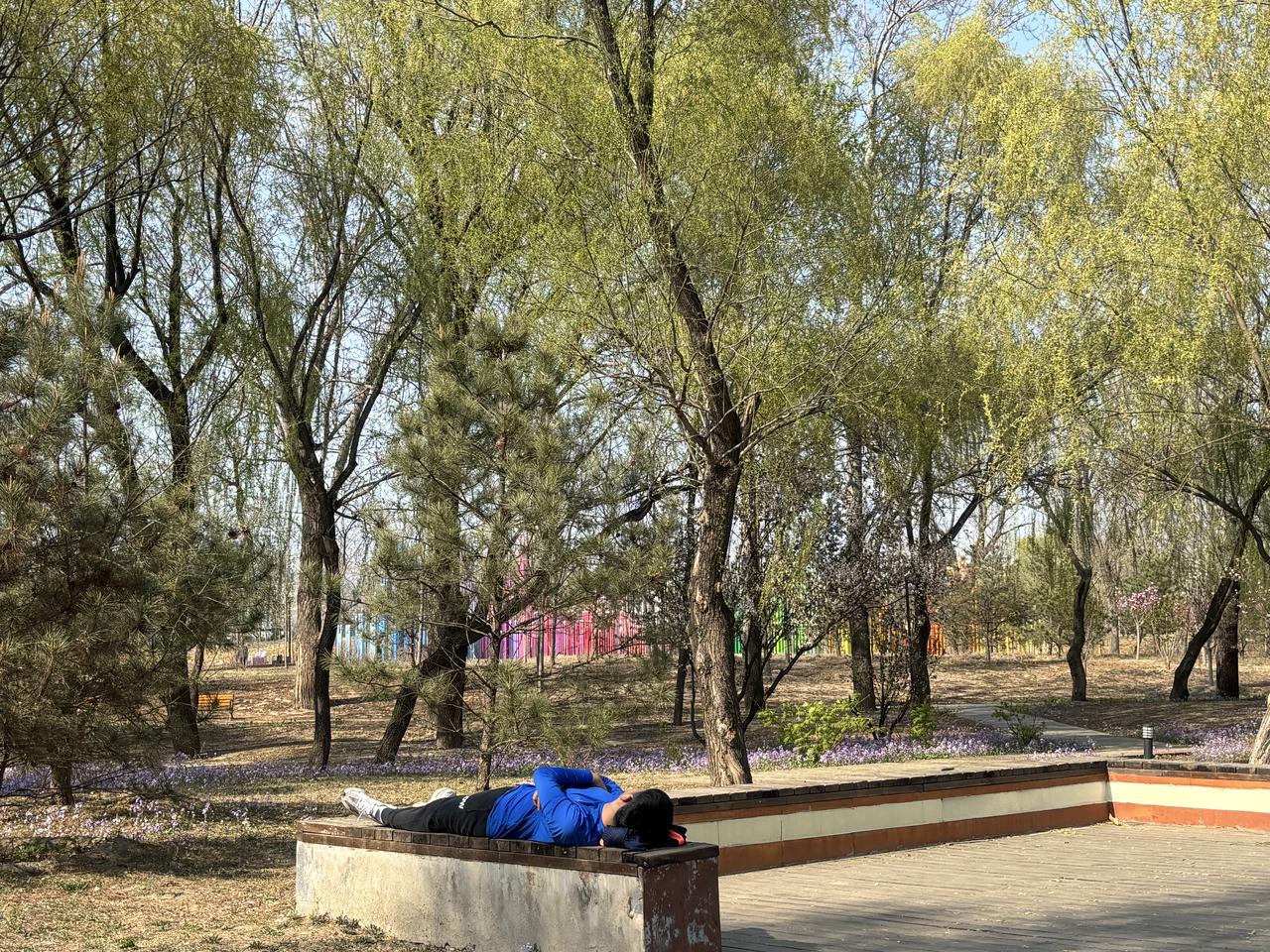 今天温度不冷不热，公园里跑步的人很多，这位小哥可能跑累了，躺在长凳上就睡着了。[